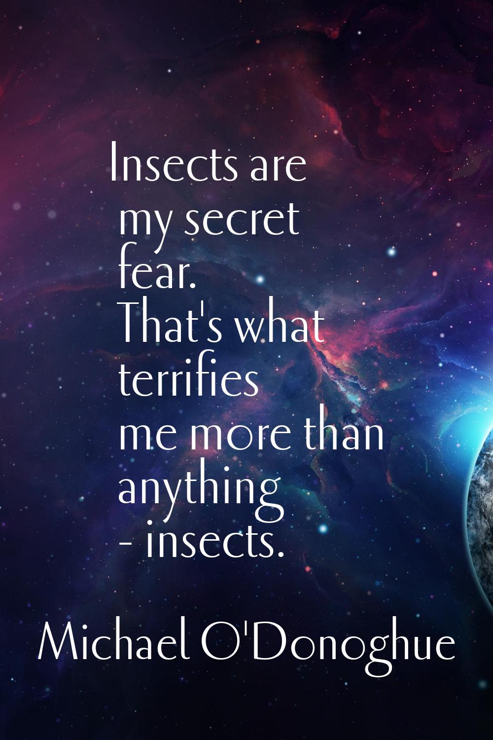 Insects are my secret fear. That's what terrifies me more than anything - insects.