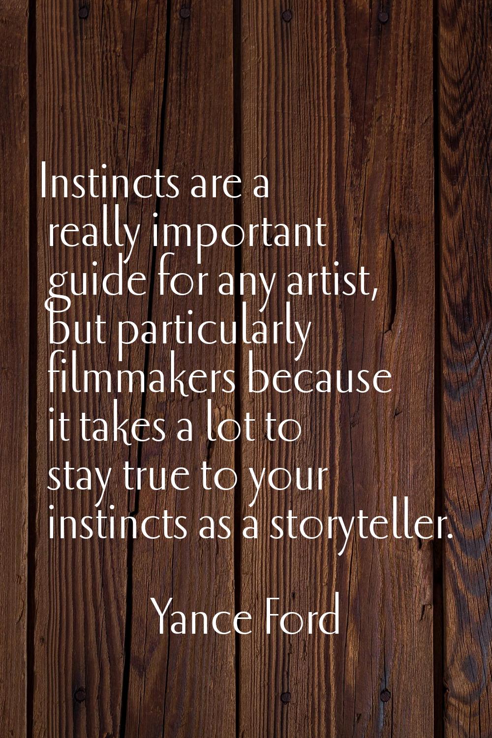 Instincts are a really important guide for any artist, but particularly filmmakers because it takes