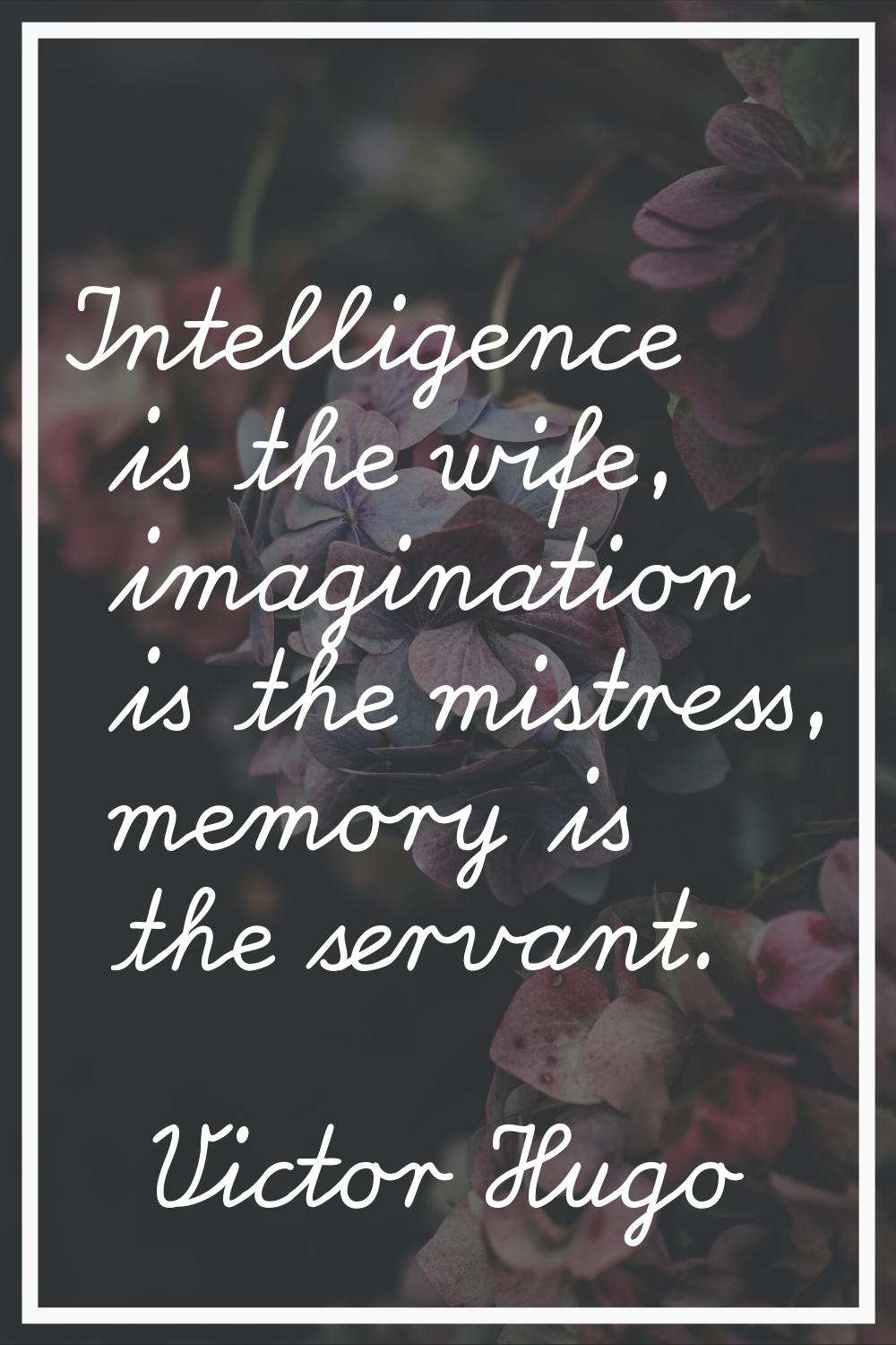 Intelligence is the wife, imagination is the mistress, memory is the servant.