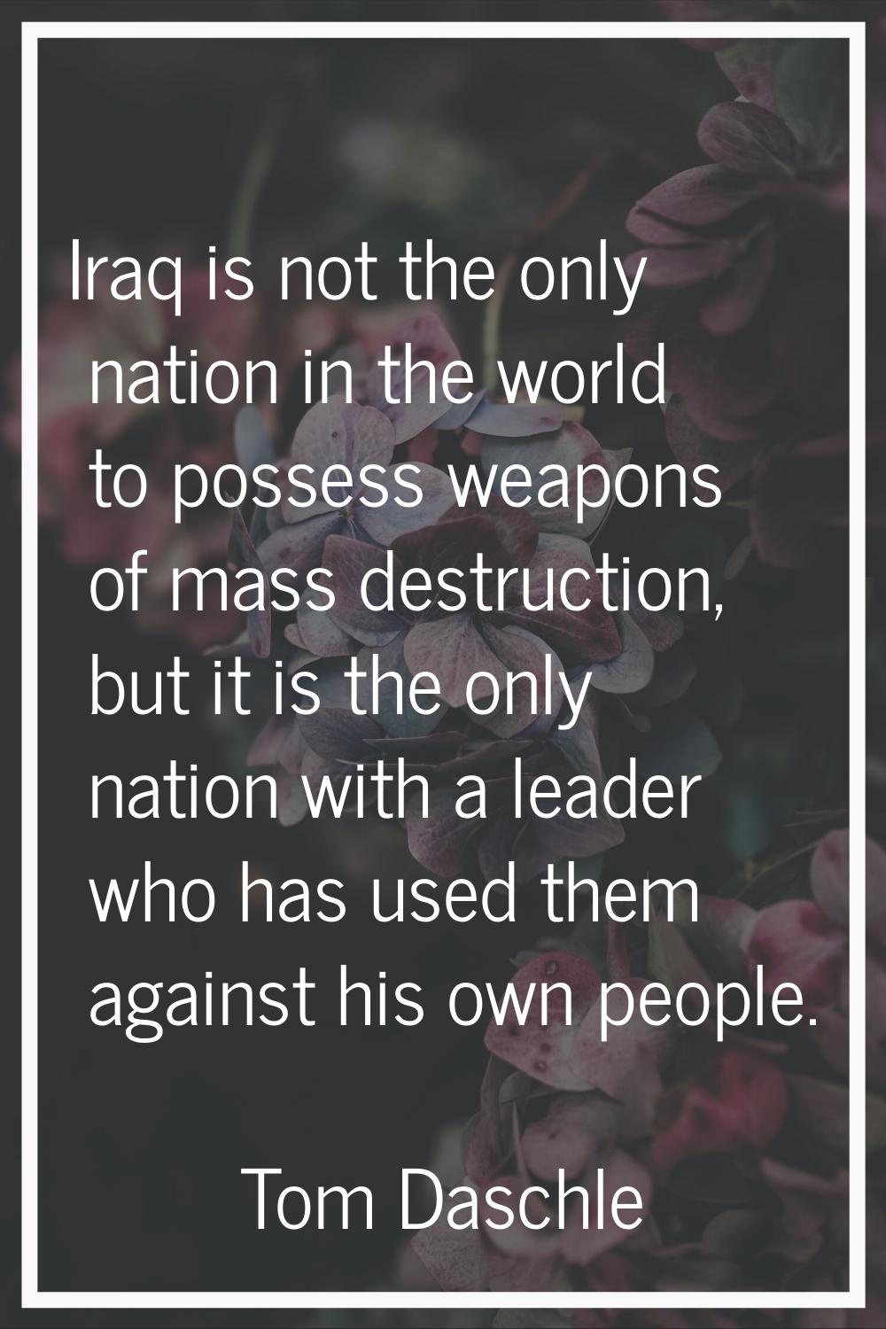 Iraq is not the only nation in the world to possess weapons of mass destruction, but it is the only
