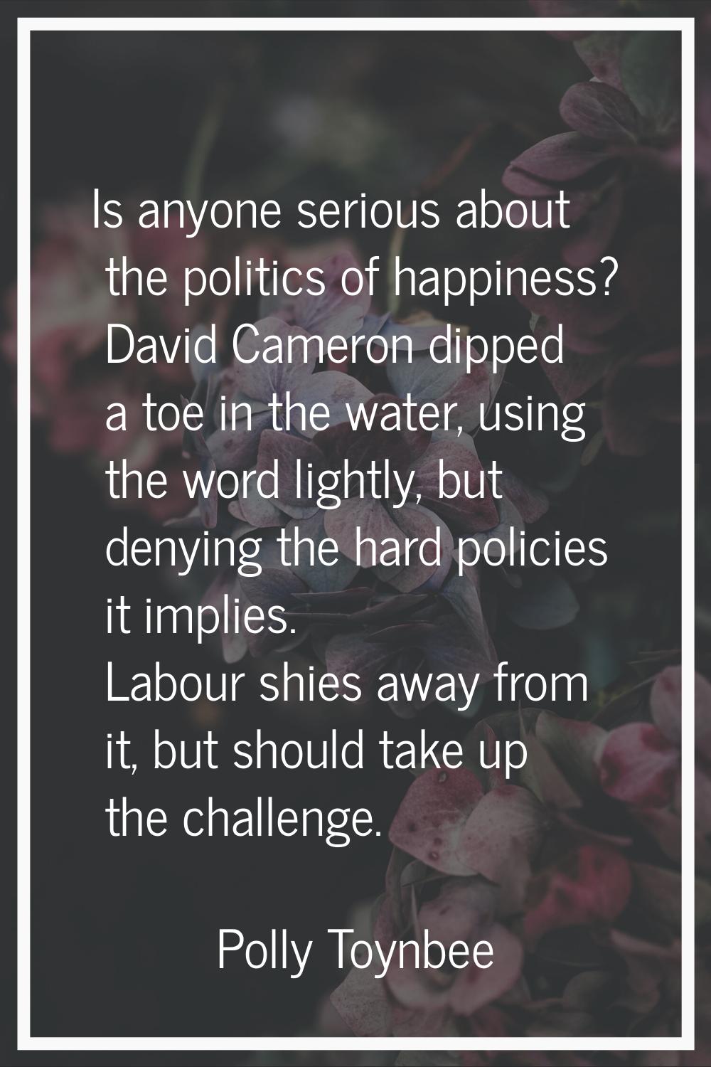 Is anyone serious about the politics of happiness? David Cameron dipped a toe in the water, using t
