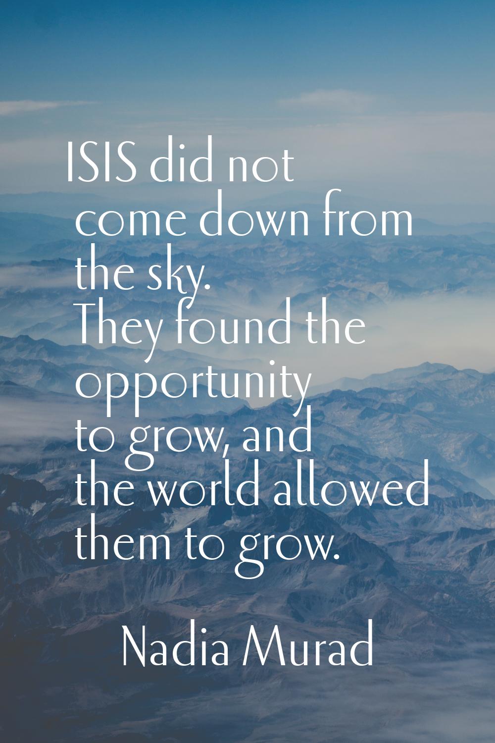ISIS did not come down from the sky. They found the opportunity to grow, and the world allowed them
