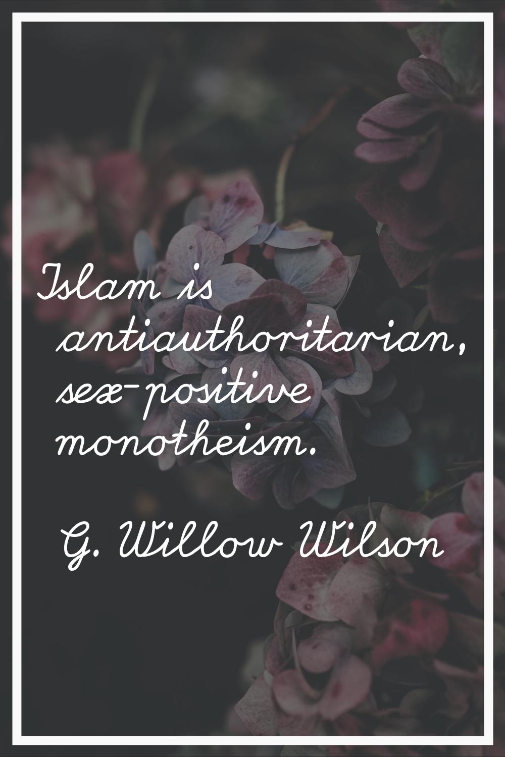 Islam is antiauthoritarian, sex-positive monotheism.