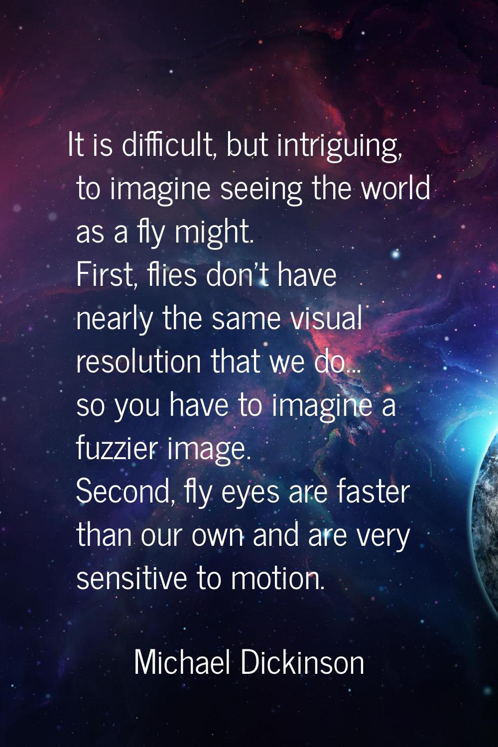 It is difficult, but intriguing, to imagine seeing the world as a fly might. First, flies don't hav