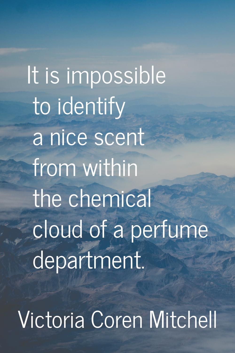 It is impossible to identify a nice scent from within the chemical cloud of a perfume department.