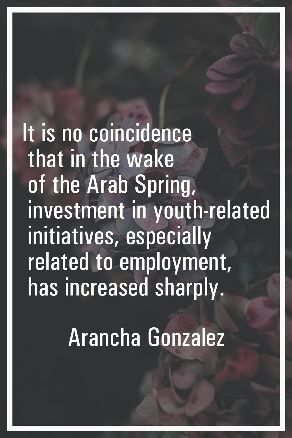 It is no coincidence that in the wake of the Arab Spring, investment in youth-related initiatives, 
