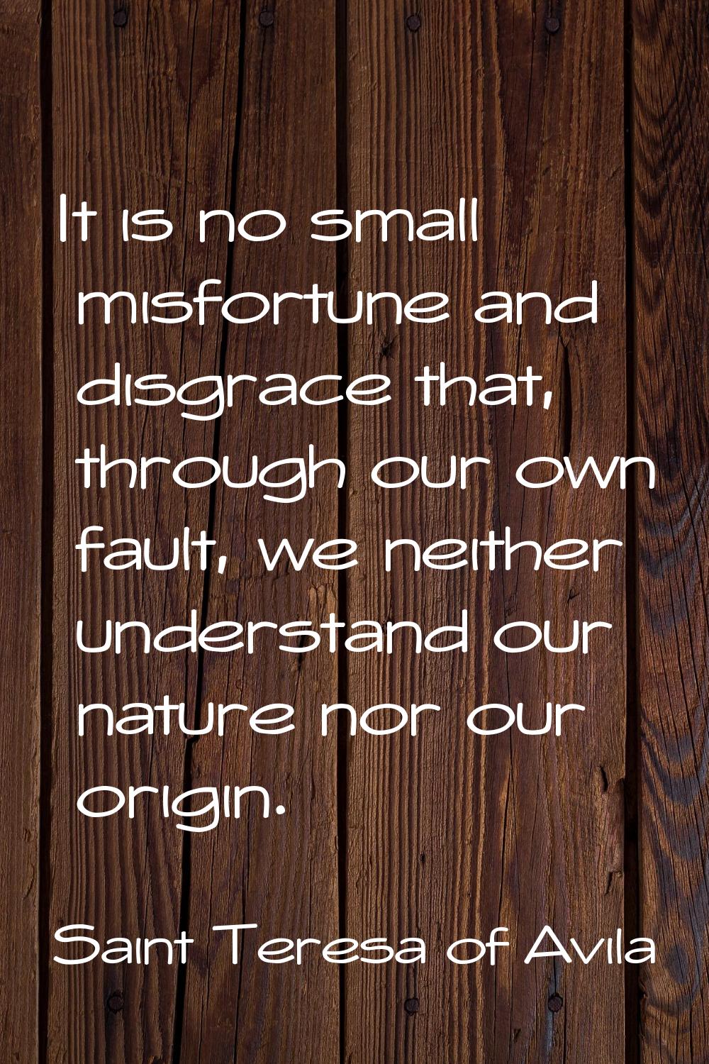 It is no small misfortune and disgrace that, through our own fault, we neither understand our natur