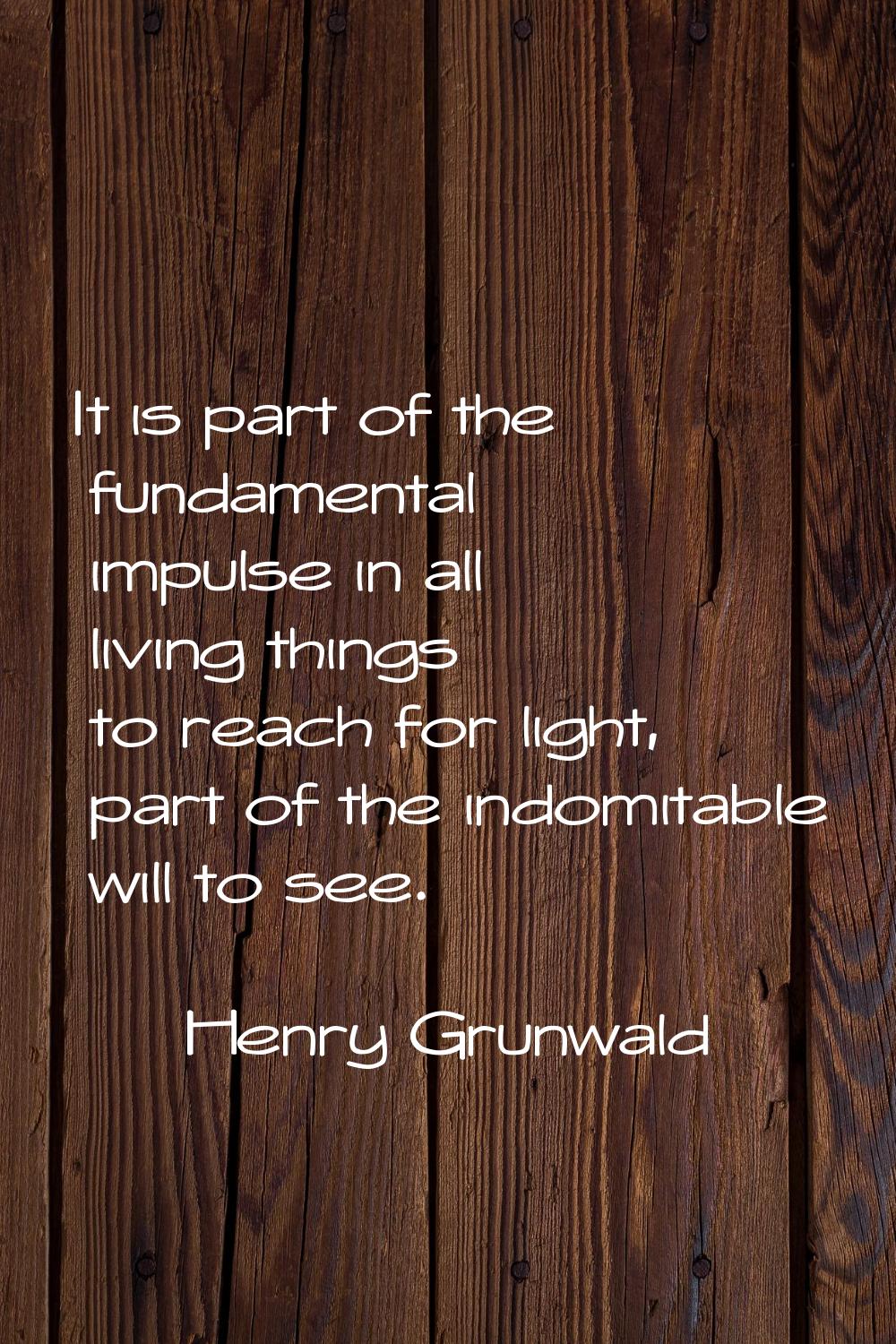 It is part of the fundamental impulse in all living things to reach for light, part of the indomita
