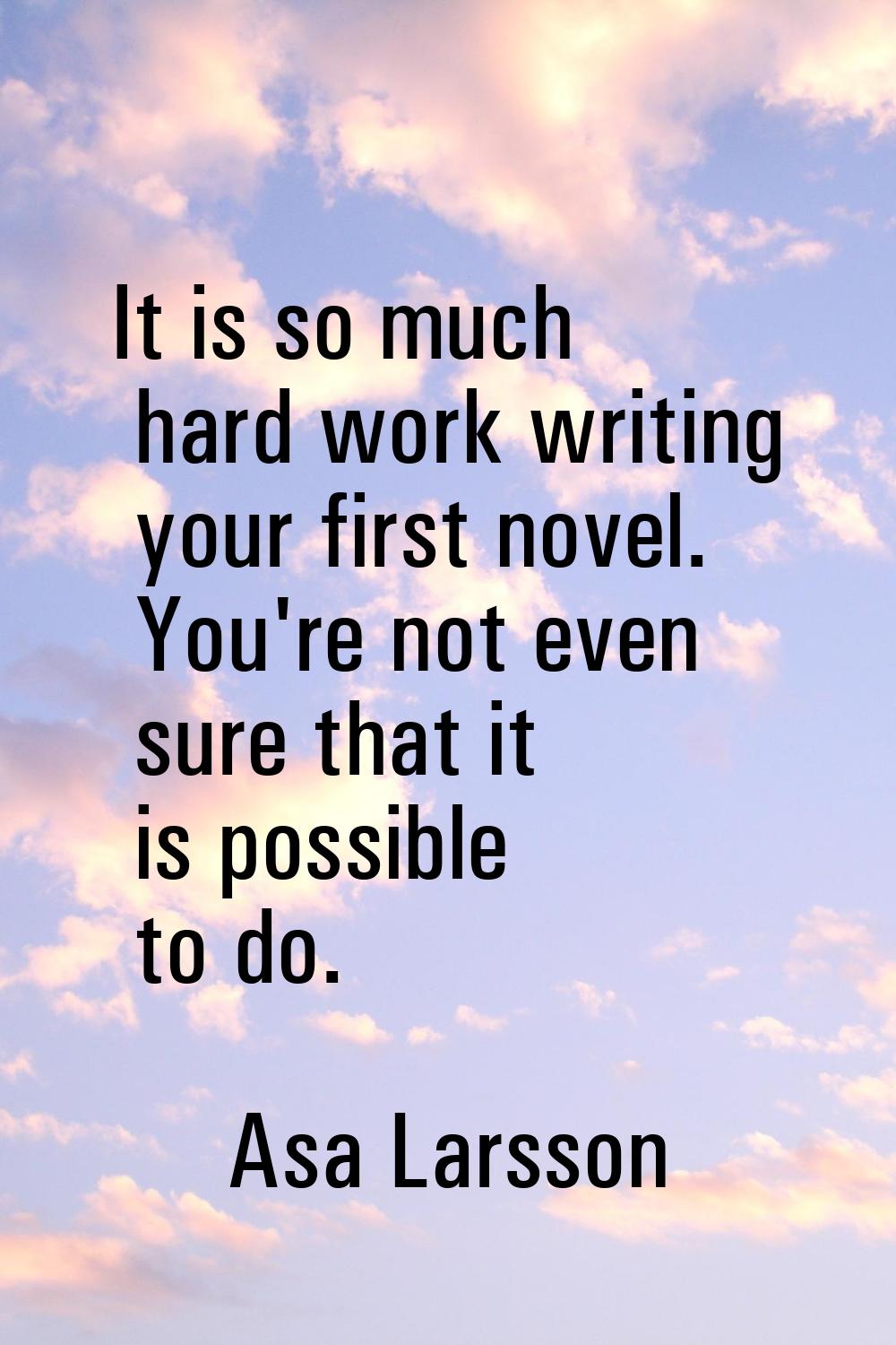 It is so much hard work writing your first novel. You're not even sure that it is possible to do.