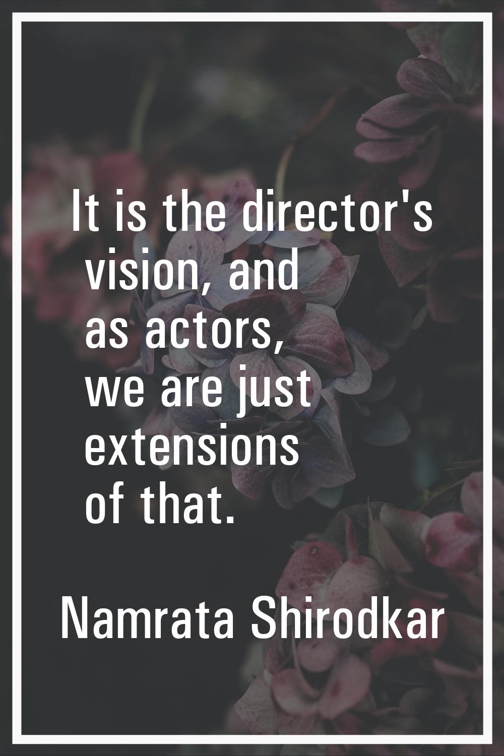 It is the director's vision, and as actors, we are just extensions of that.