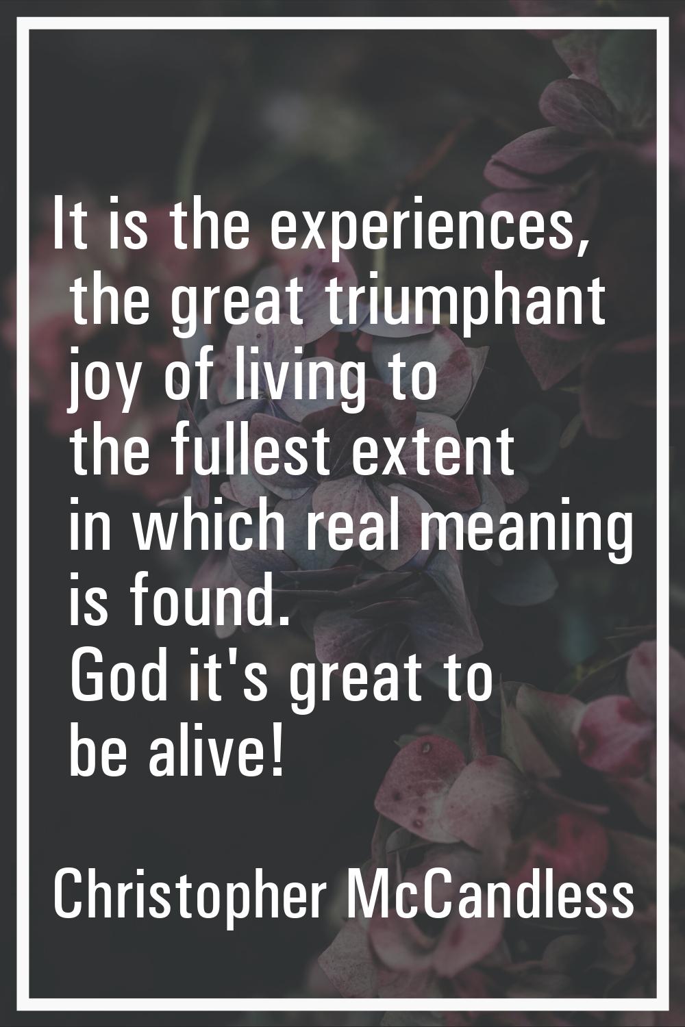It is the experiences, the great triumphant joy of living to the fullest extent in which real meani