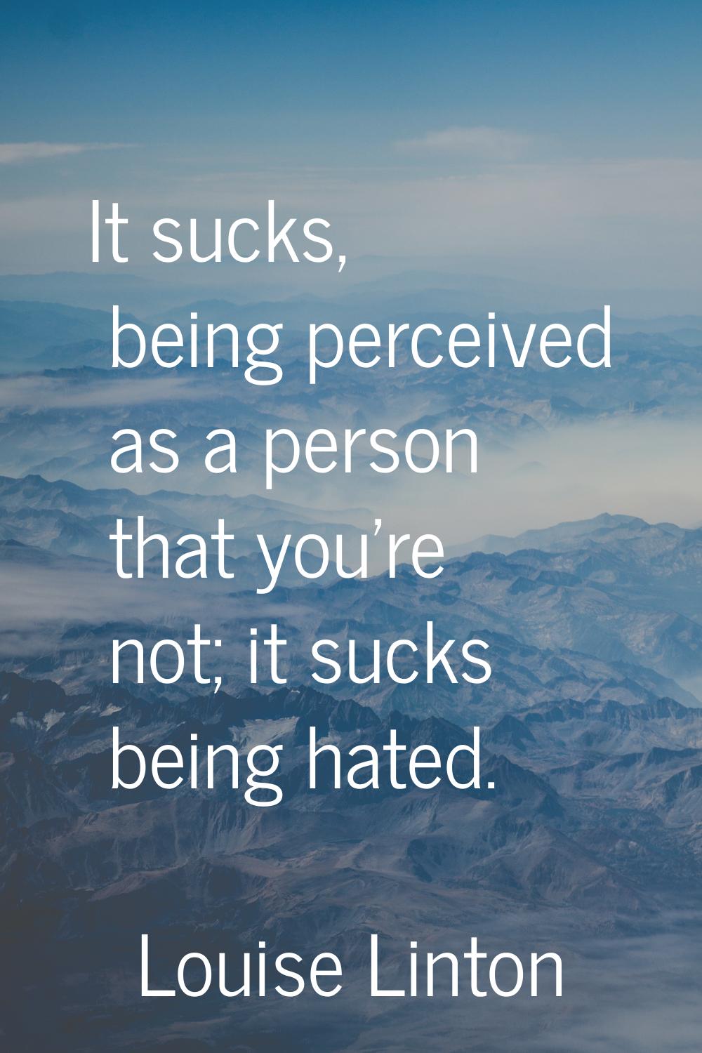 It sucks, being perceived as a person that you're not; it sucks being hated.