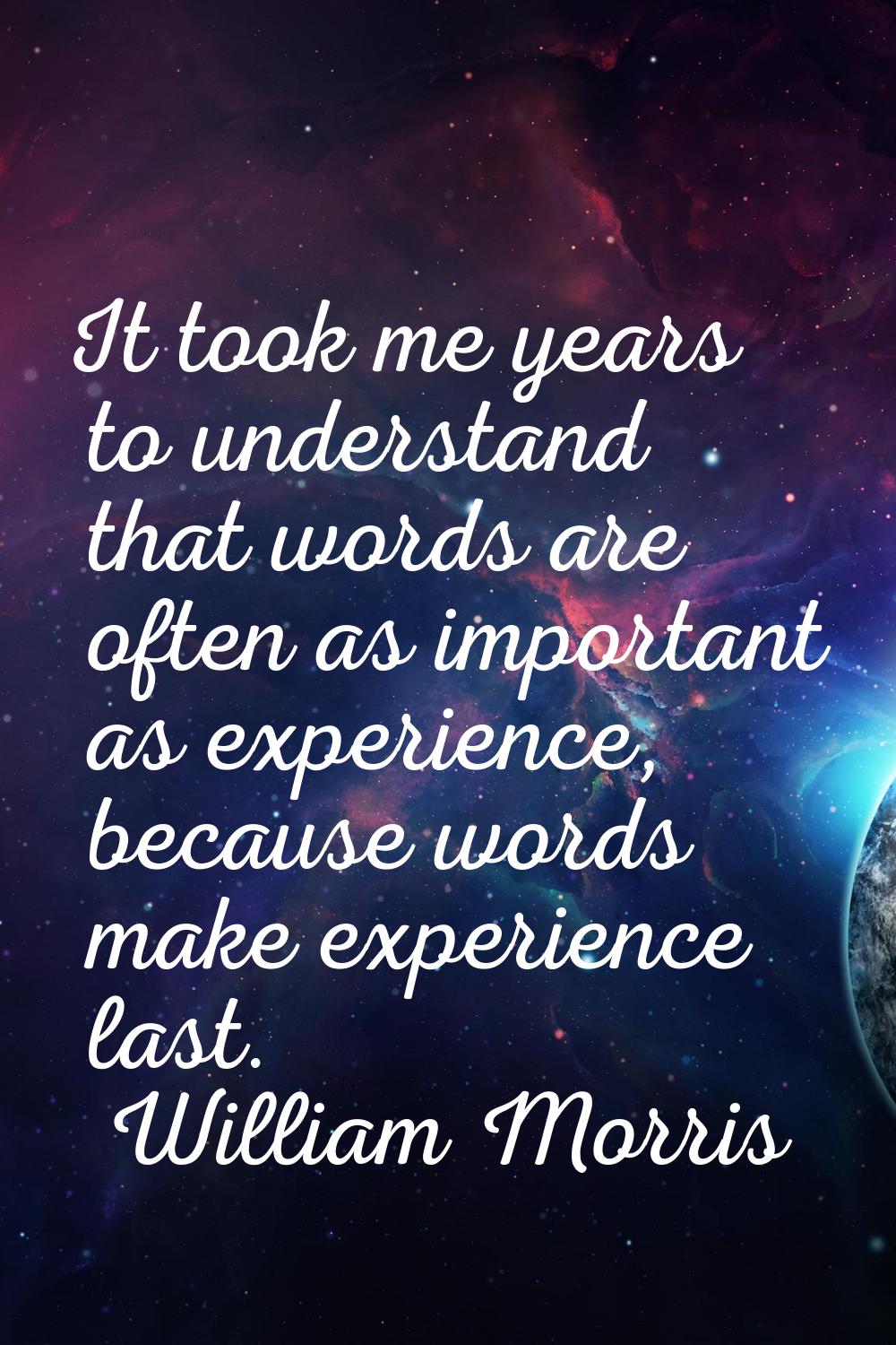 It took me years to understand that words are often as important as experience, because words make 