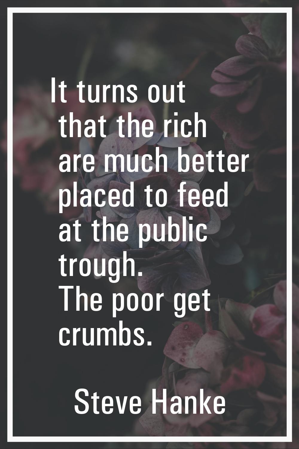 It turns out that the rich are much better placed to feed at the public trough. The poor get crumbs