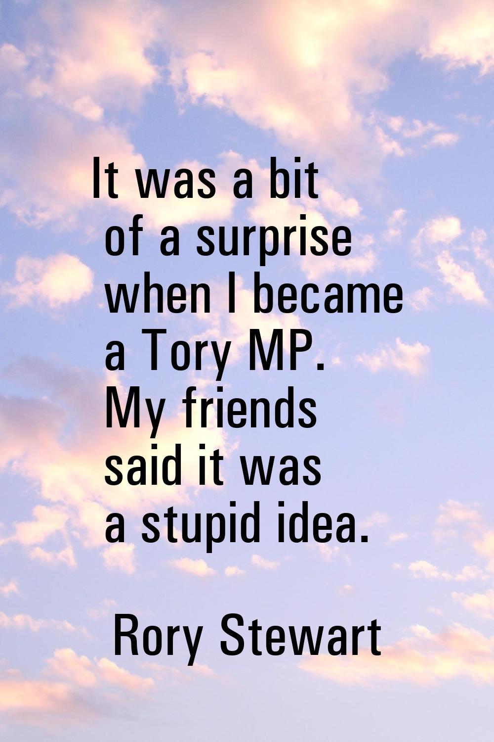 It was a bit of a surprise when I became a Tory MP. My friends said it was a stupid idea.