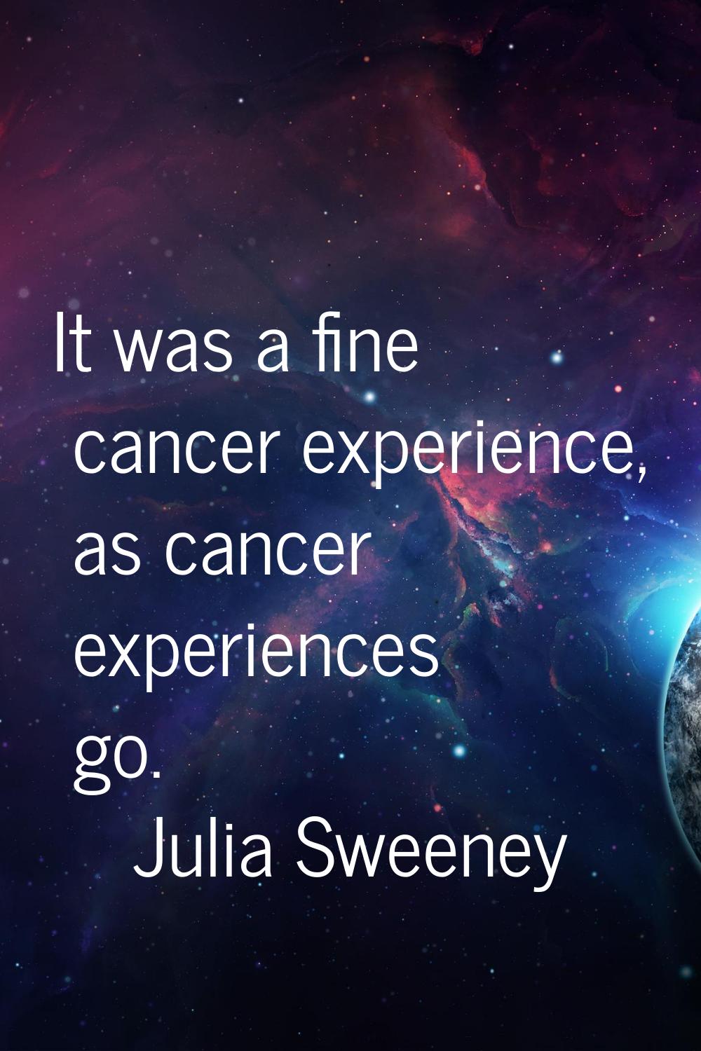 It was a fine cancer experience, as cancer experiences go.