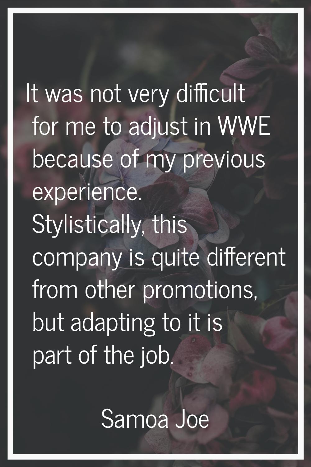 It was not very difficult for me to adjust in WWE because of my previous experience. Stylistically,