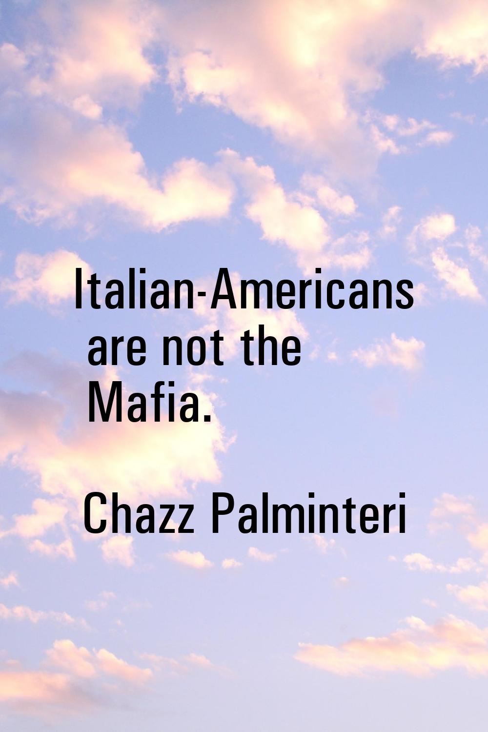 Italian-Americans are not the Mafia.