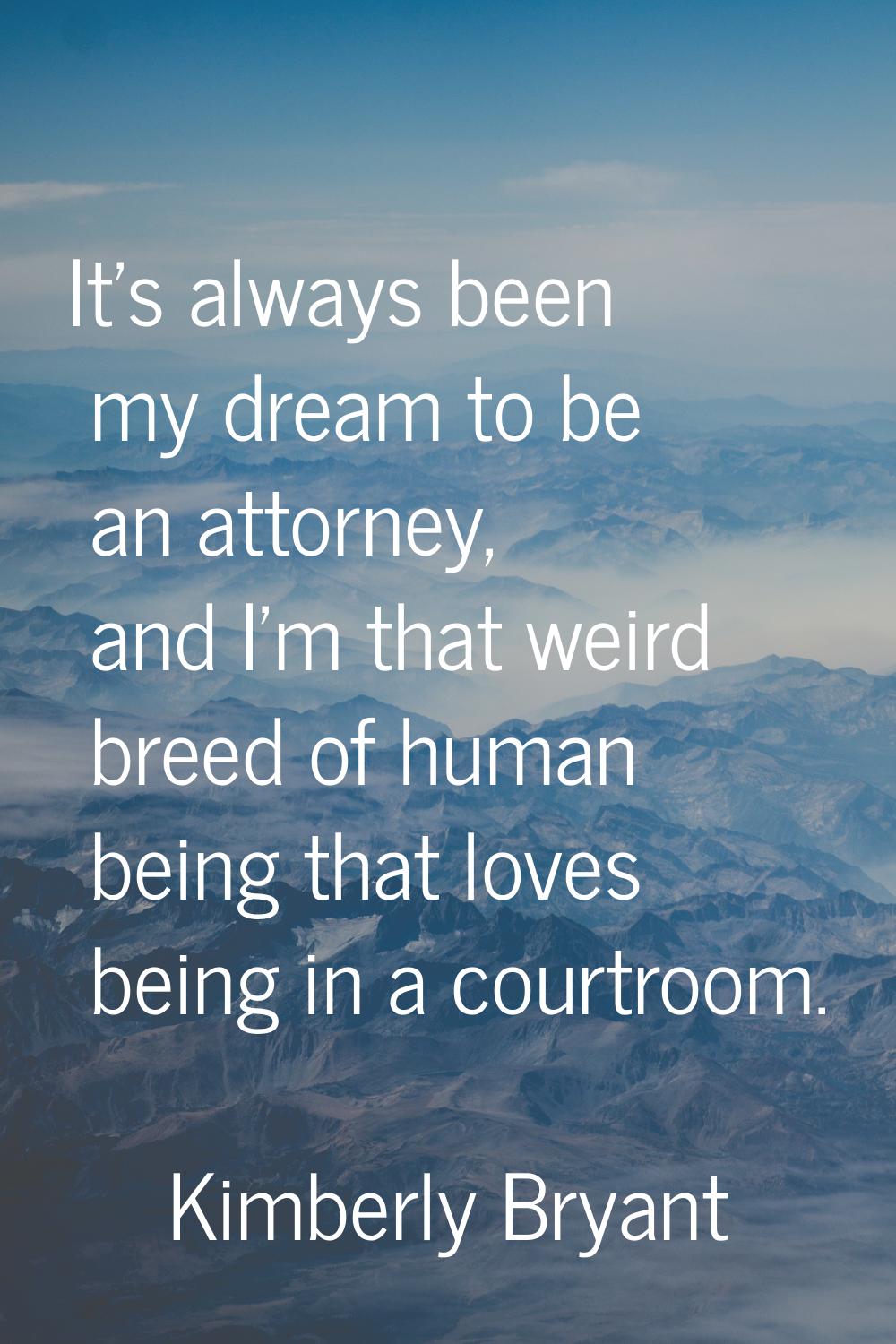 It's always been my dream to be an attorney, and I'm that weird breed of human being that loves bei