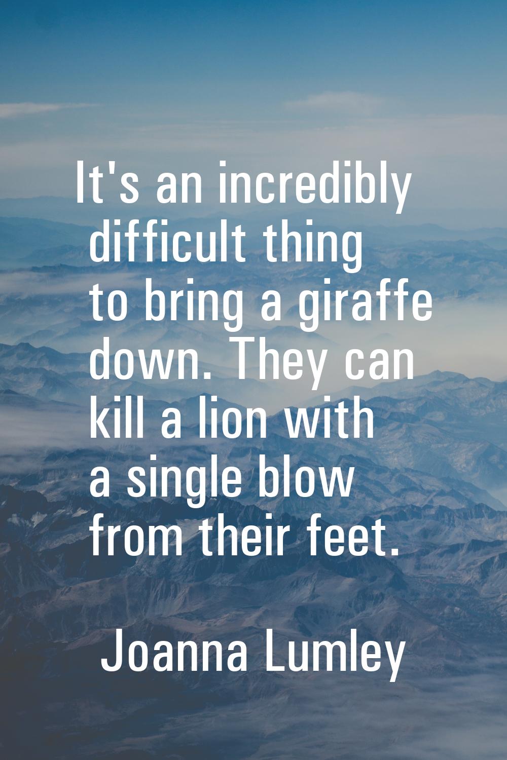 It's an incredibly difficult thing to bring a giraffe down. They can kill a lion with a single blow