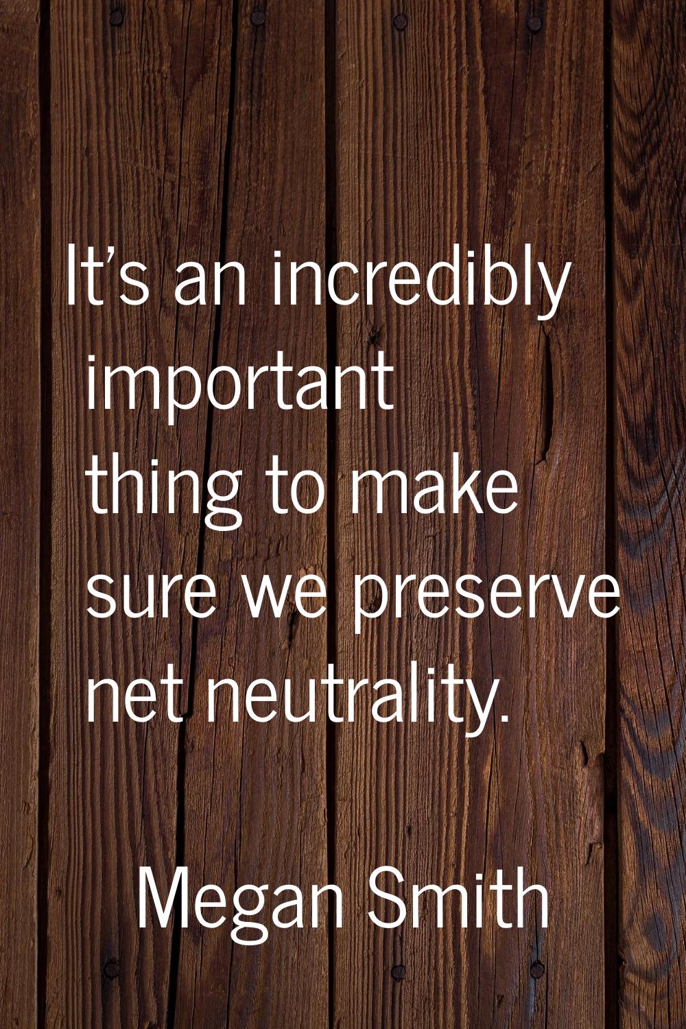It's an incredibly important thing to make sure we preserve net neutrality.