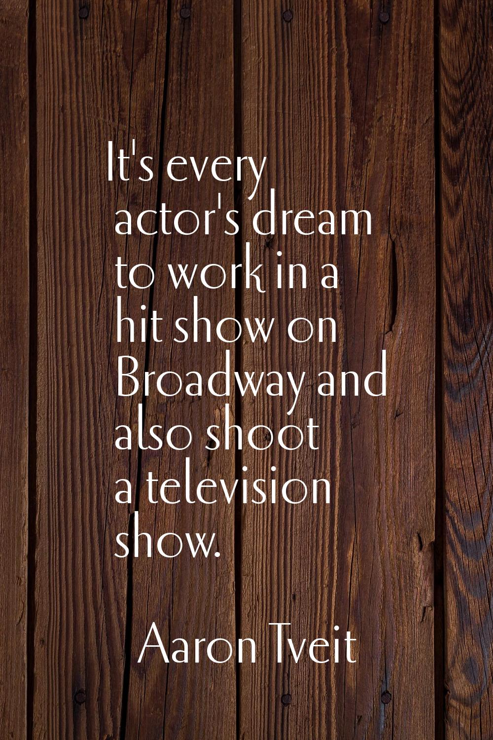 It's every actor's dream to work in a hit show on Broadway and also shoot a television show.
