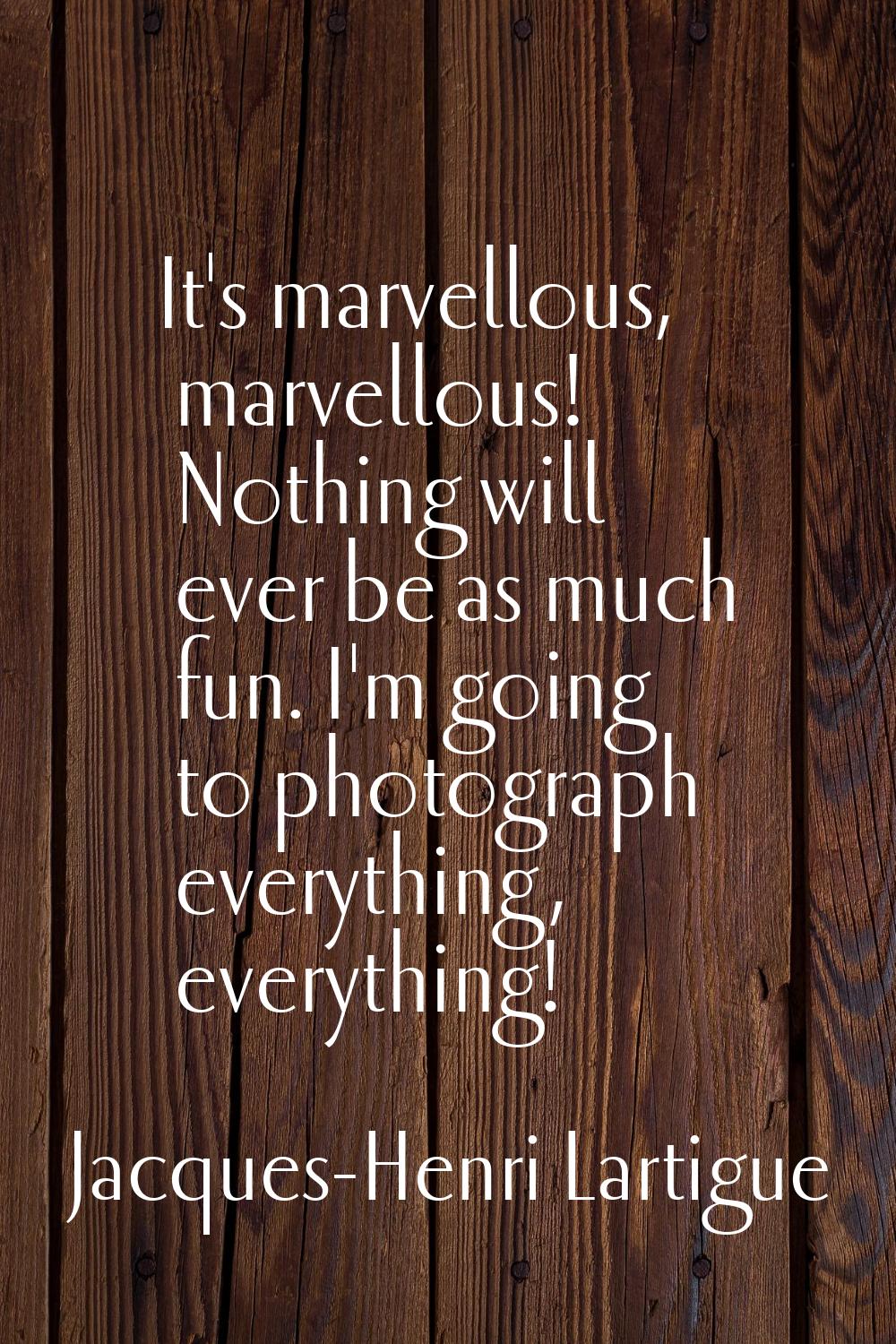 It's marvellous, marvellous! Nothing will ever be as much fun. I'm going to photograph everything, 