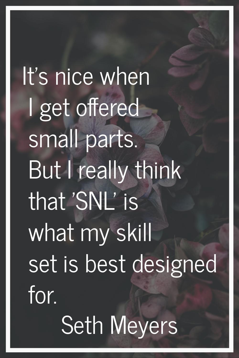 It's nice when I get offered small parts. But I really think that 'SNL' is what my skill set is bes