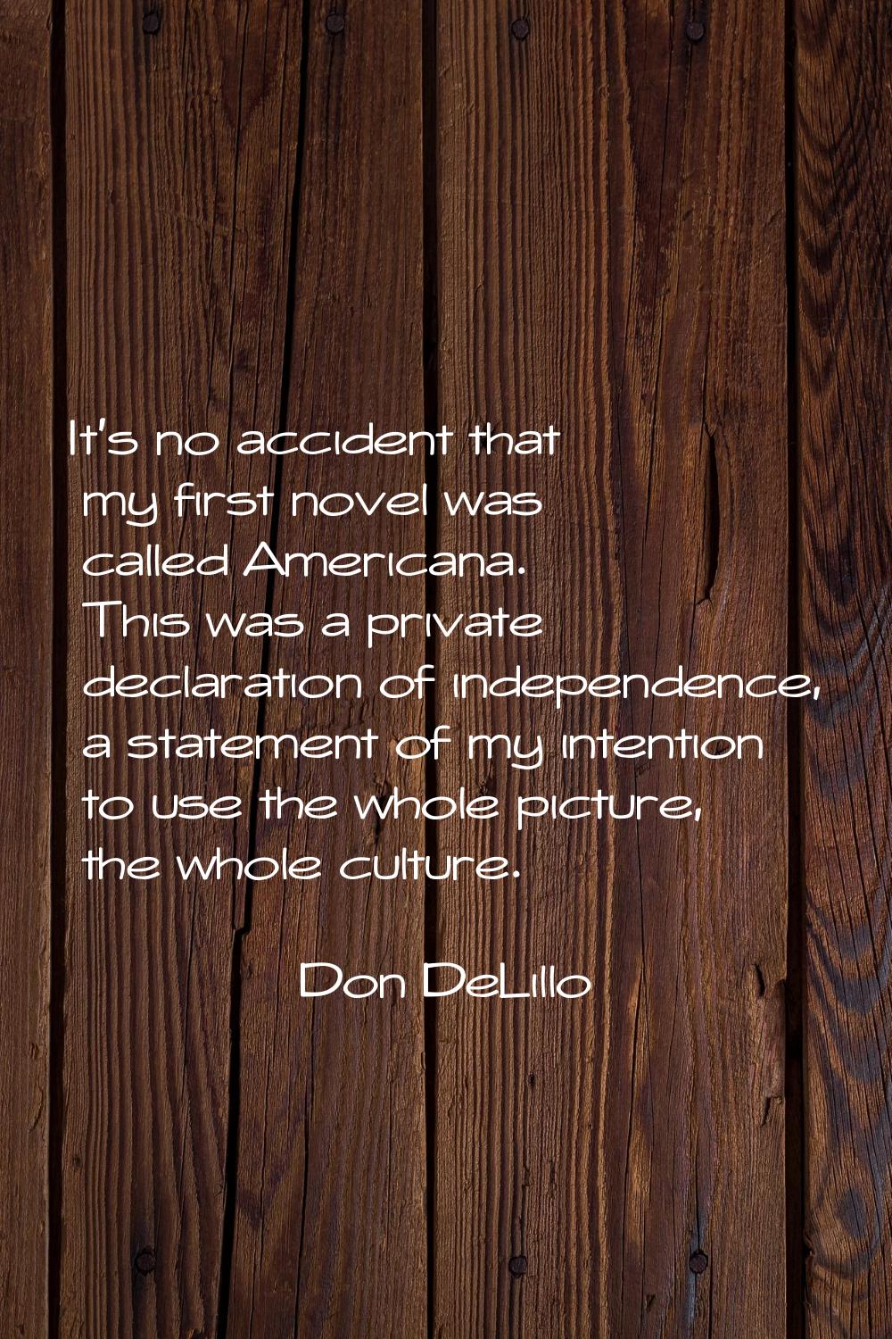 It's no accident that my first novel was called Americana. This was a private declaration of indepe
