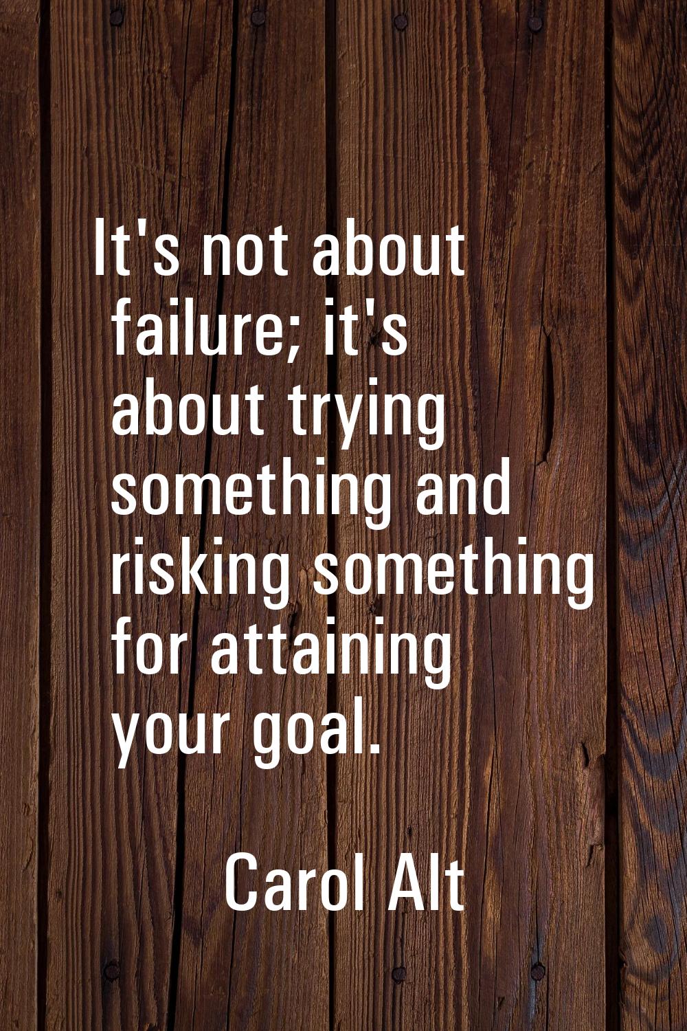It's not about failure; it's about trying something and risking something for attaining your goal.