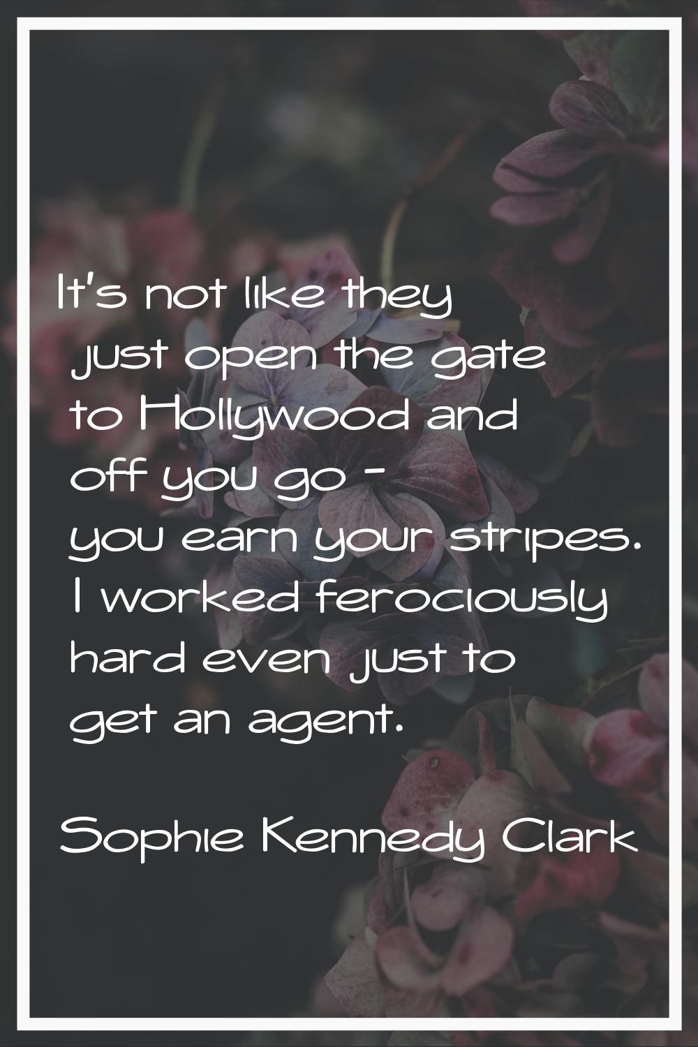 It's not like they just open the gate to Hollywood and off you go - you earn your stripes. I worked