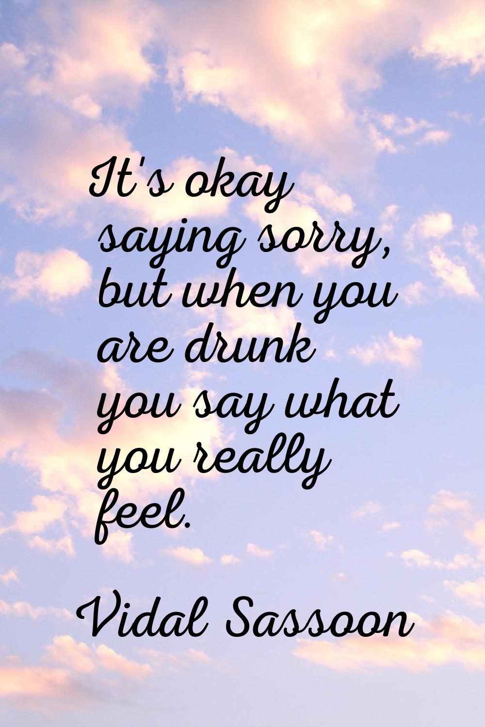 It's okay saying sorry, but when you are drunk you say what you really feel.