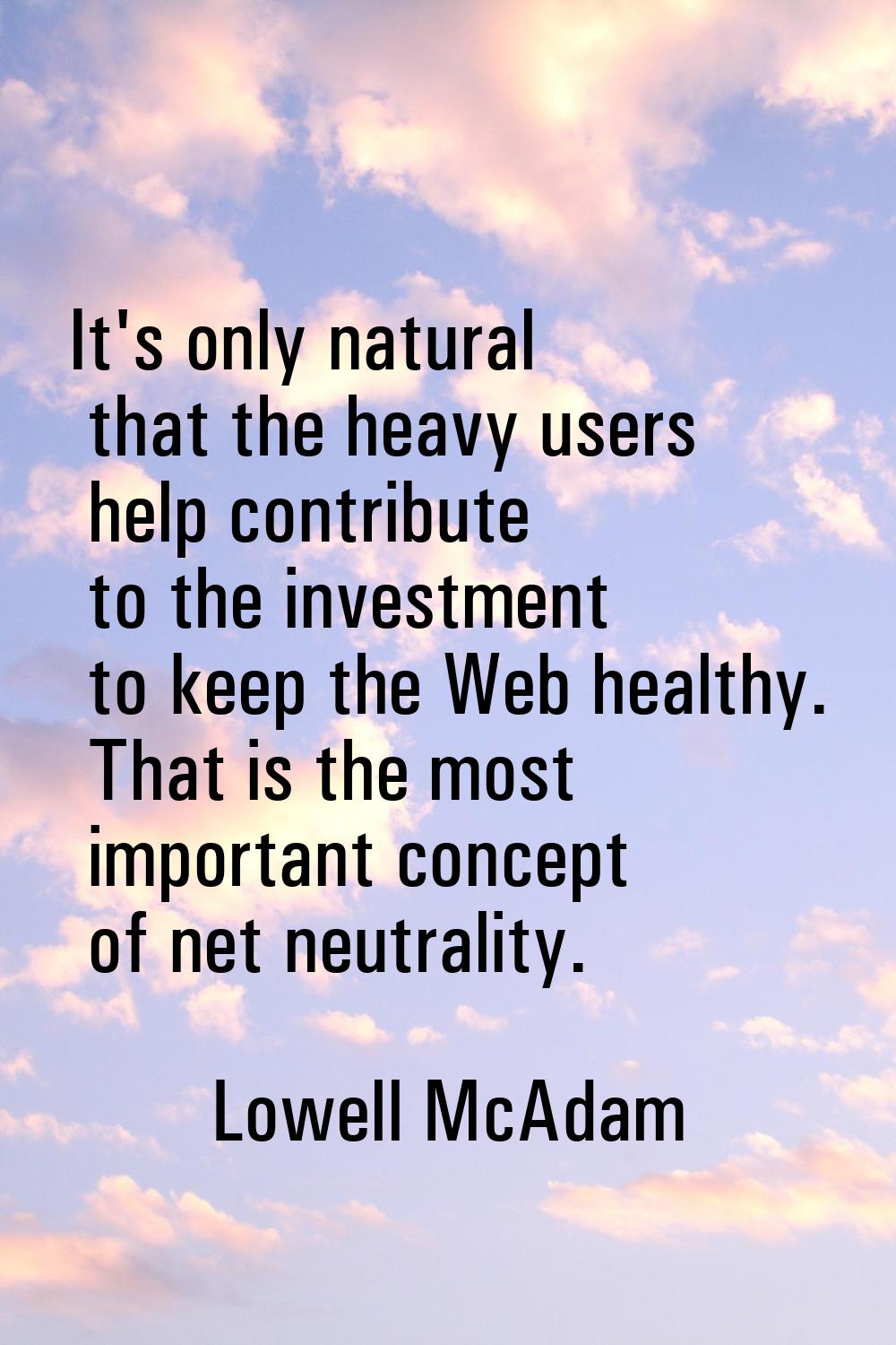 It's only natural that the heavy users help contribute to the investment to keep the Web healthy. T