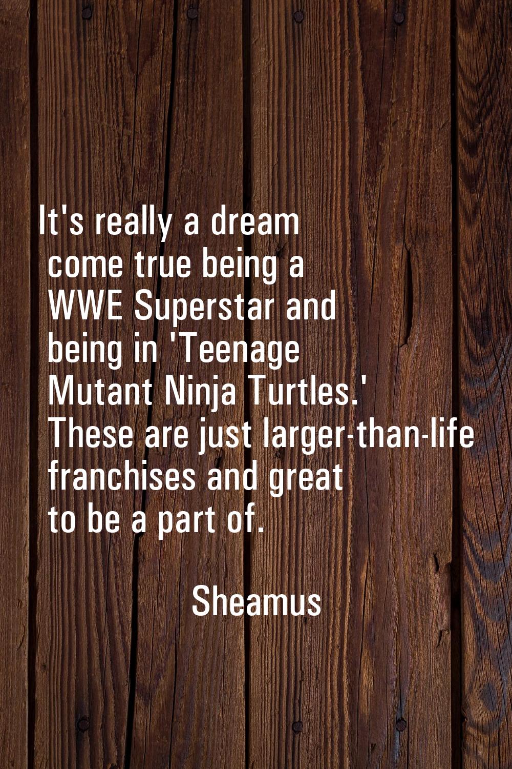 It's really a dream come true being a WWE Superstar and being in 'Teenage Mutant Ninja Turtles.' Th
