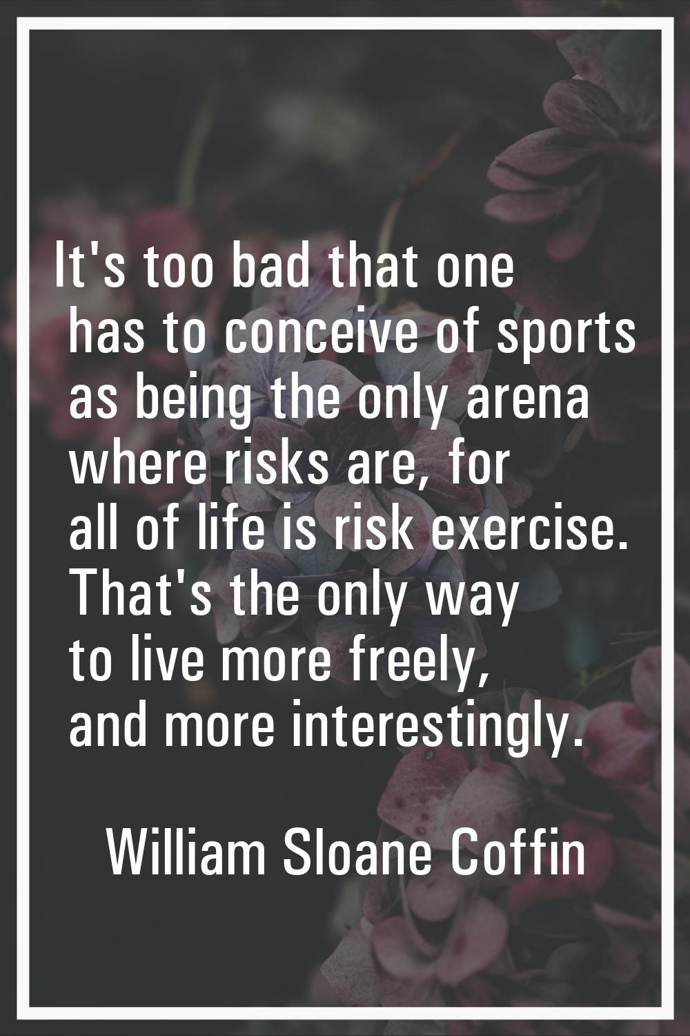 It's too bad that one has to conceive of sports as being the only arena where risks are, for all of