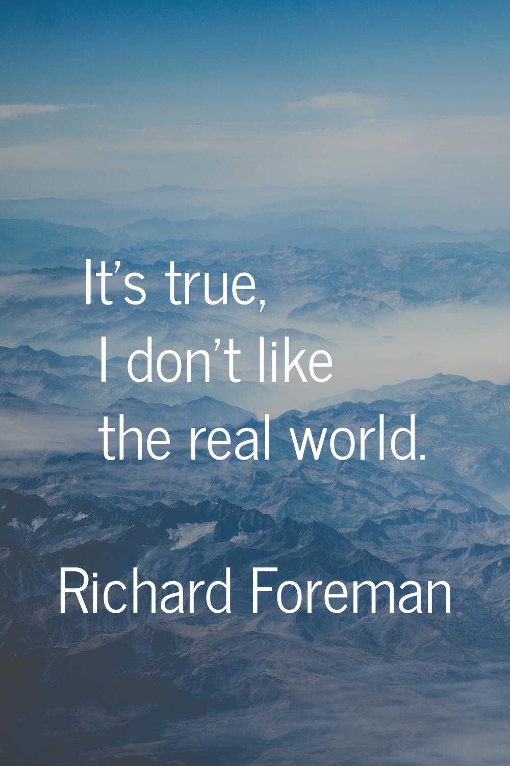 It's true, I don't like the real world.