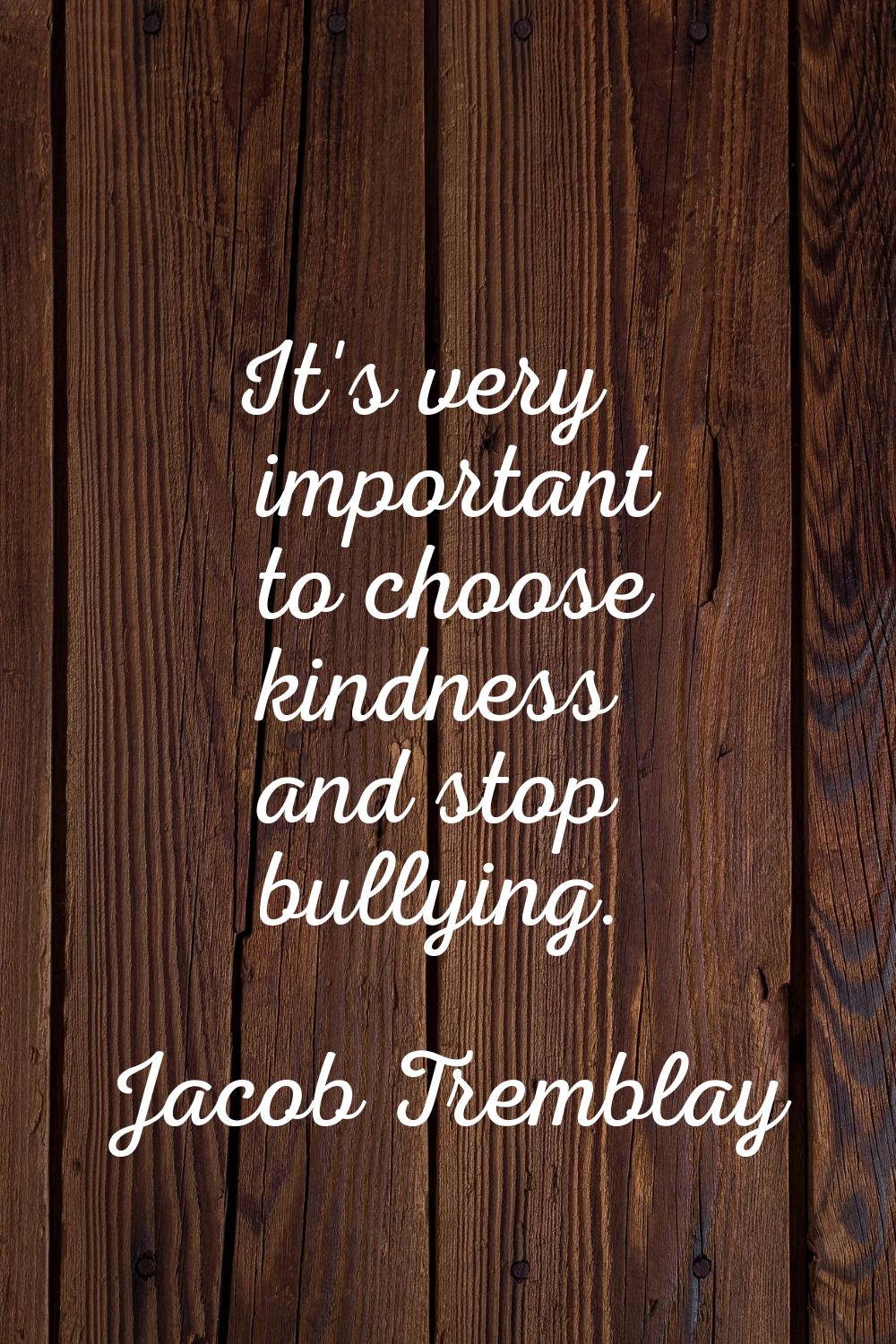 It's very important to choose kindness and stop bullying.