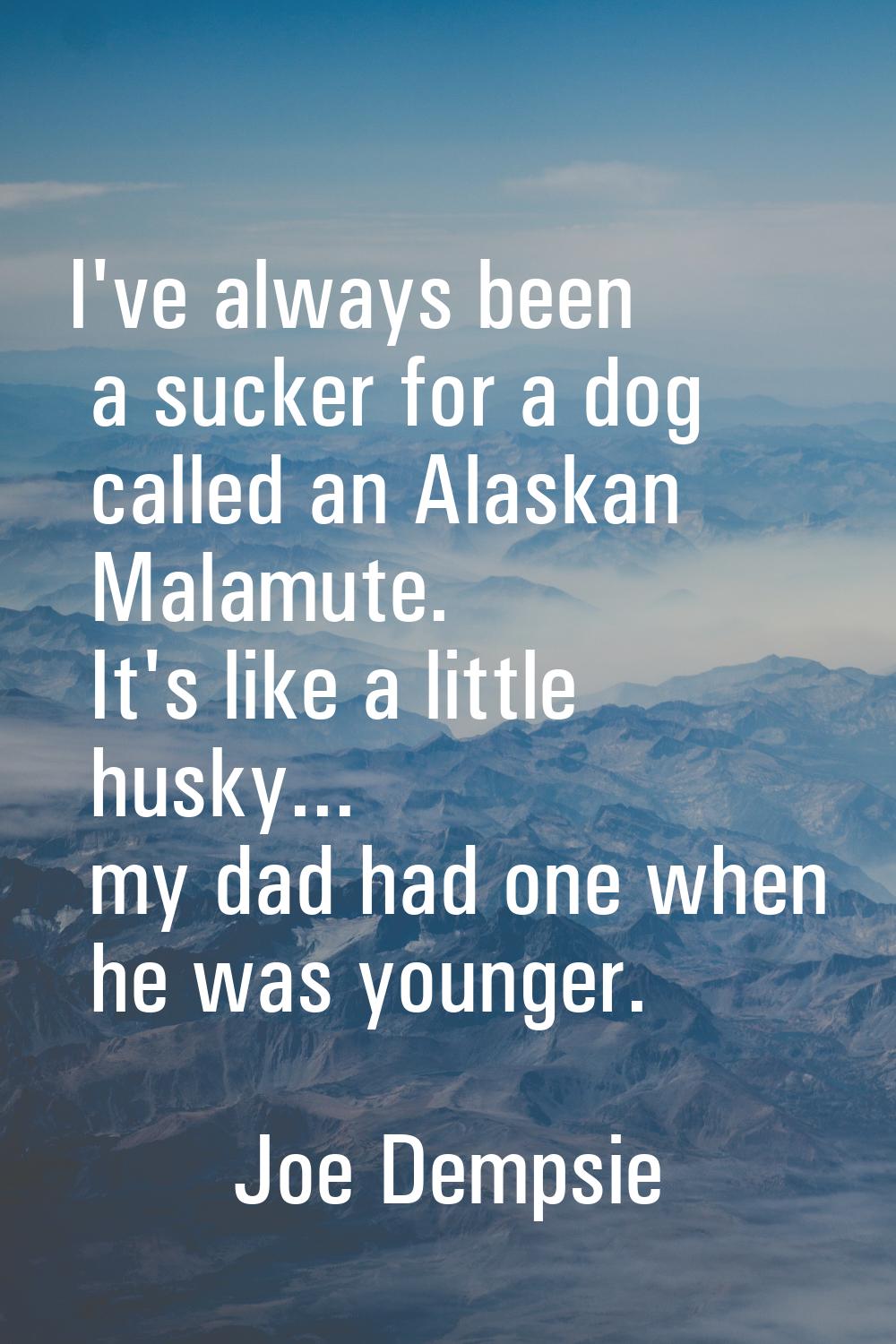 I've always been a sucker for a dog called an Alaskan Malamute. It's like a little husky... my dad 