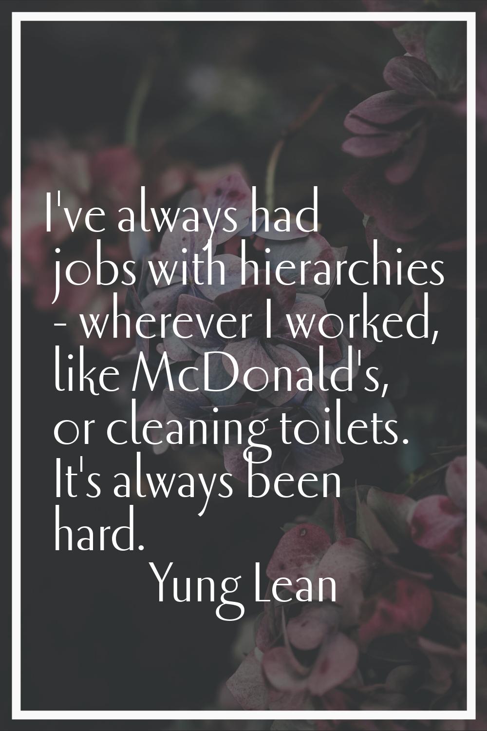 I've always had jobs with hierarchies - wherever I worked, like McDonald's, or cleaning toilets. It