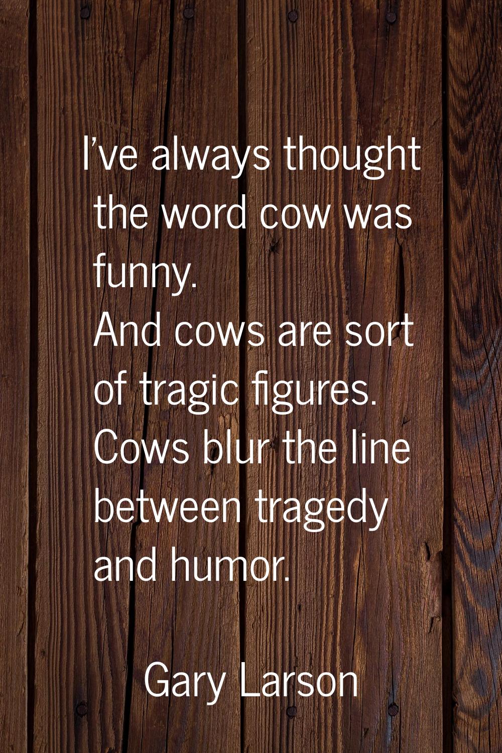 I've always thought the word cow was funny. And cows are sort of tragic figures. Cows blur the line