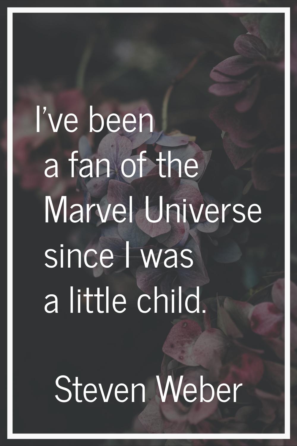 I've been a fan of the Marvel Universe since I was a little child.