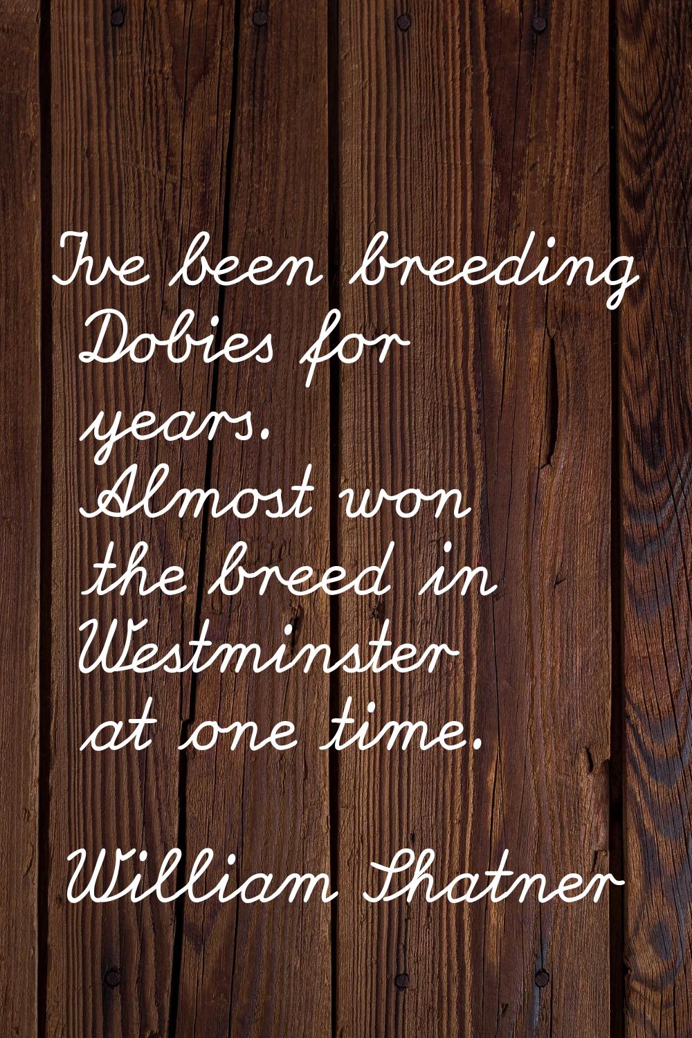 I've been breeding Dobies for years. Almost won the breed in Westminster at one time.