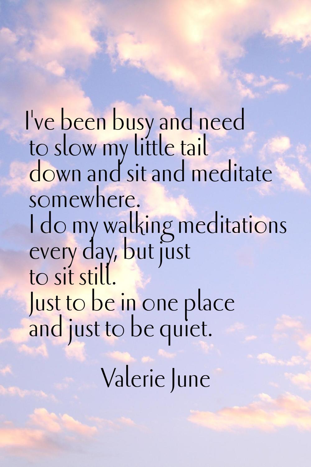 I've been busy and need to slow my little tail down and sit and meditate somewhere. I do my walking