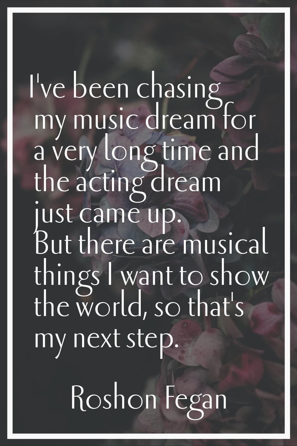 I've been chasing my music dream for a very long time and the acting dream just came up. But there 