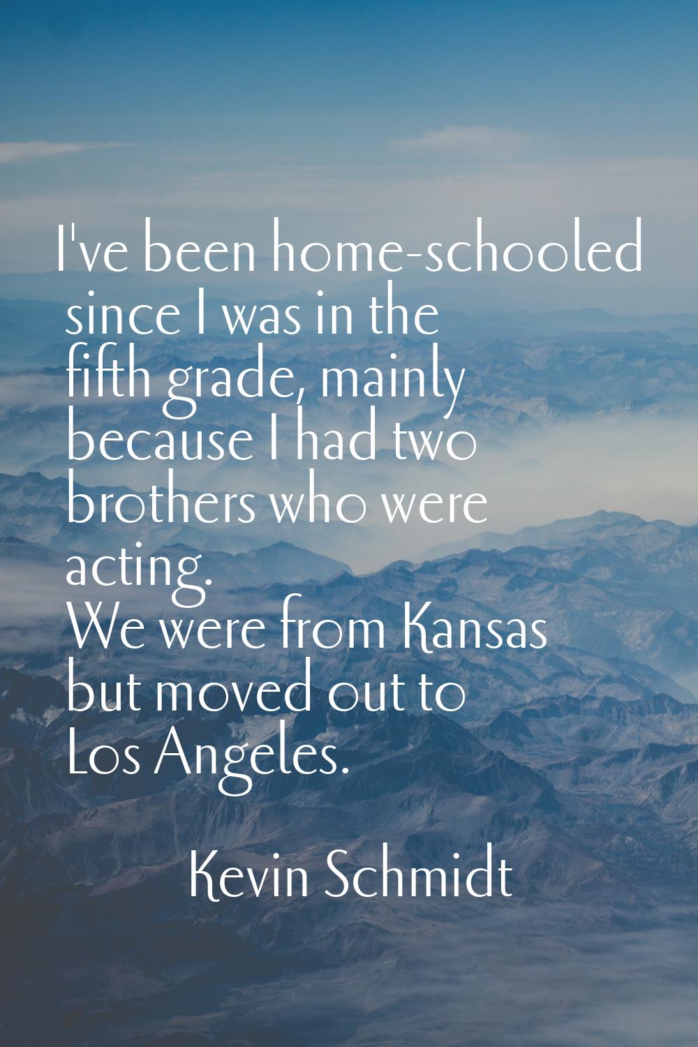 I've been home-schooled since I was in the fifth grade, mainly because I had two brothers who were 