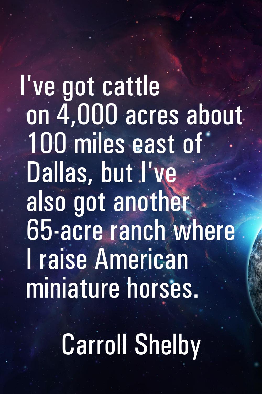 I've got cattle on 4,000 acres about 100 miles east of Dallas, but I've also got another 65-acre ra