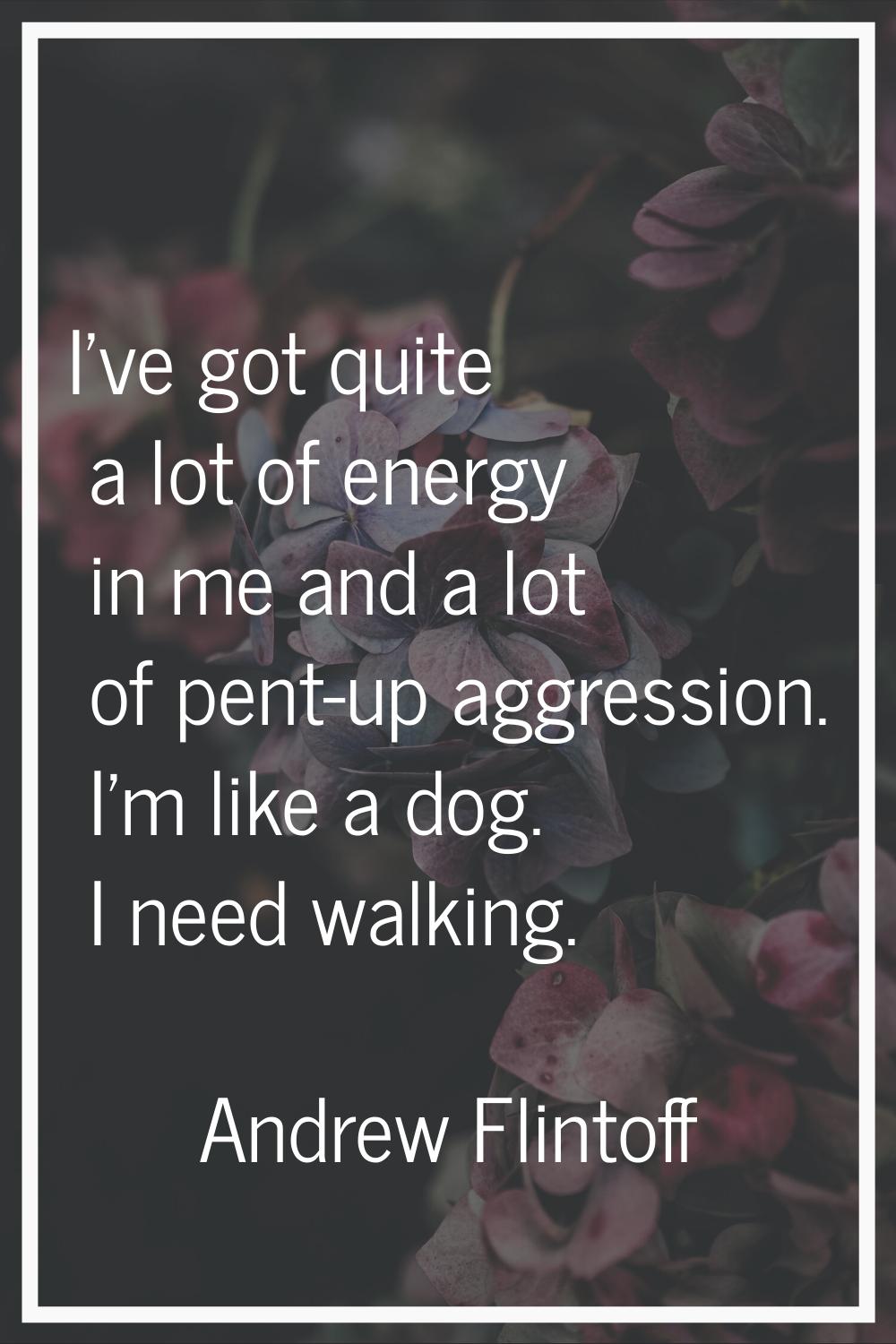 I've got quite a lot of energy in me and a lot of pent-up aggression. I'm like a dog. I need walkin