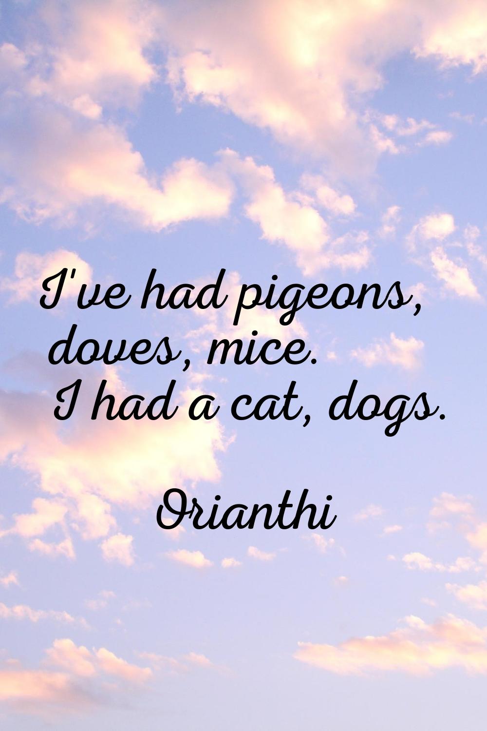 I've had pigeons, doves, mice. I had a cat, dogs.