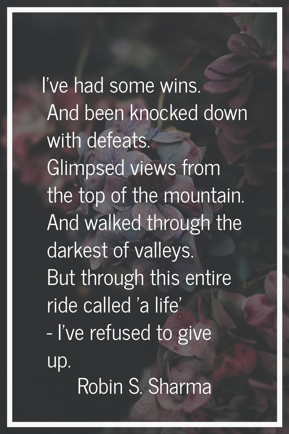 I've had some wins. And been knocked down with defeats. Glimpsed views from the top of the mountain