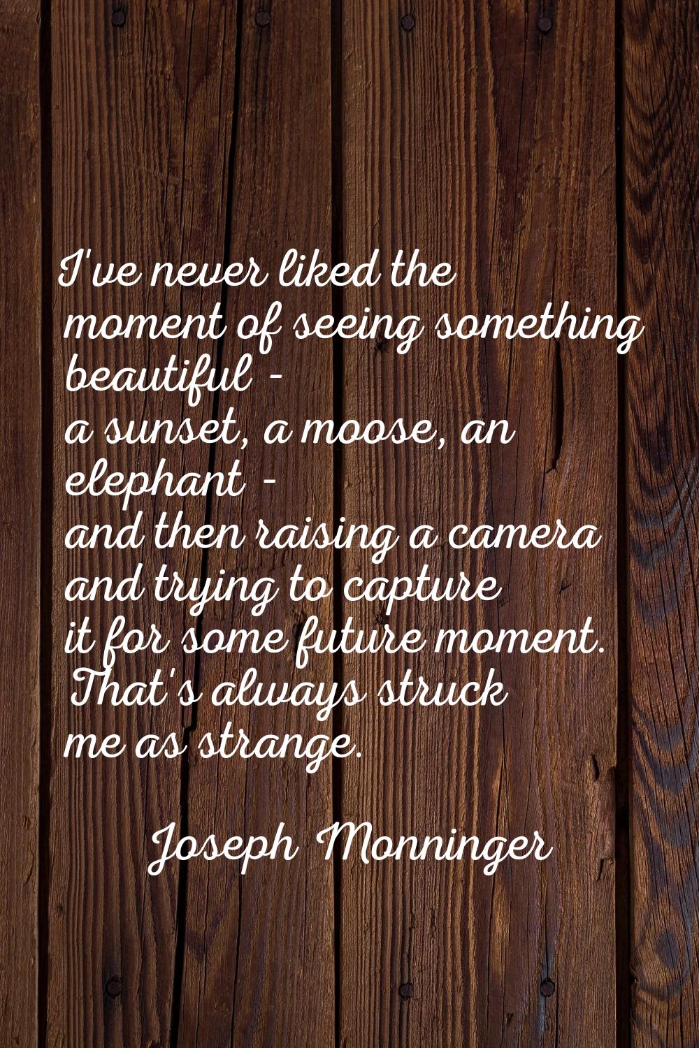 I've never liked the moment of seeing something beautiful - a sunset, a moose, an elephant - and th